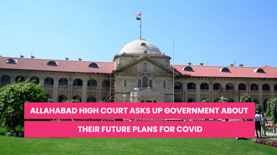 Allahabad High Court Covid Plans